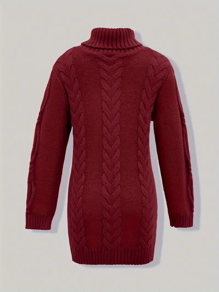 Narda - Chunky Cable Knitted Turtleneck Dress